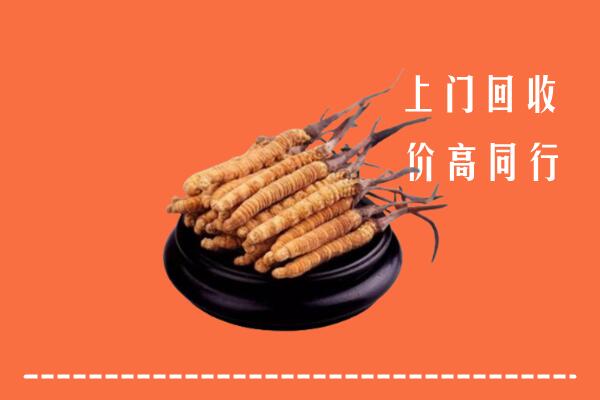 高价求购：北京顺义区回收散虫草