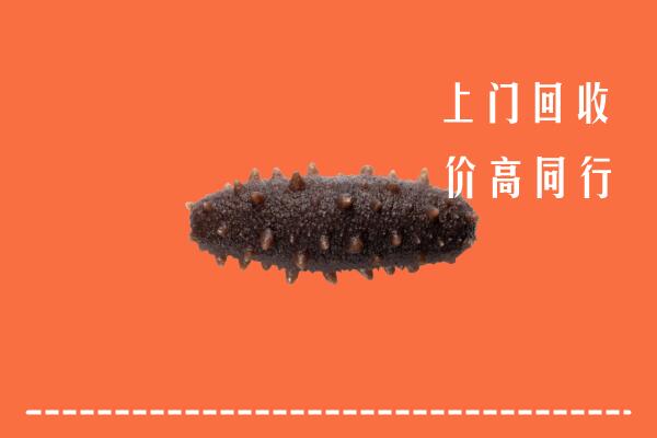 北京顺义区回收海参
