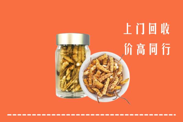 北京顺义区回收冬虫夏草