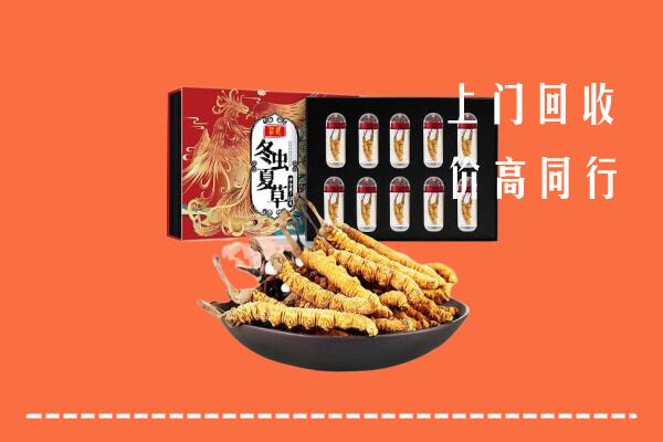 北京顺义区回收虫草